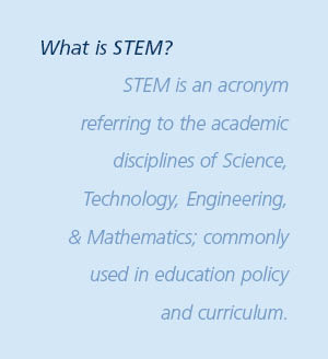 definition of stem definition of stem
