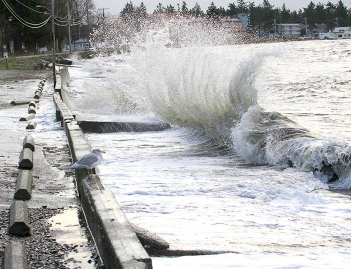 Birm Project Birch Bay berm project begins its scoping process | Reid Middleton